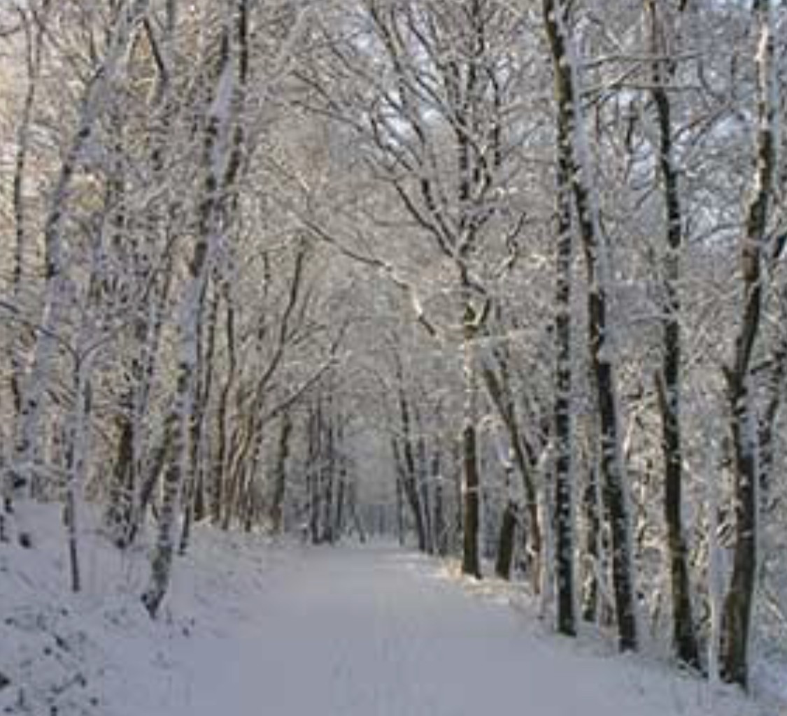 Artikkelbilde til artikkelen Informasjonsbrev nr. 20